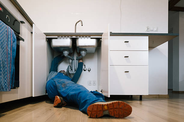 Professional Plumbing technician working in Solo, MO